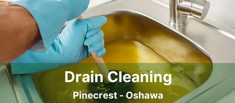  Drain Cleaning Pinecrest - Oshawa