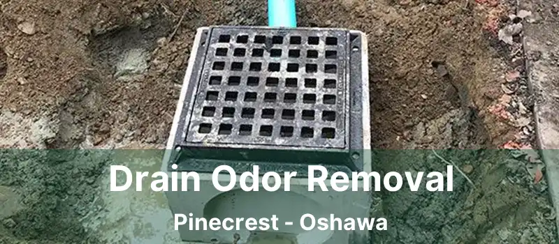  Drain Odor Removal Pinecrest - Oshawa