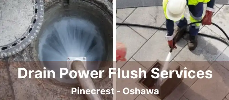  Drain Power Flush Services Pinecrest - Oshawa