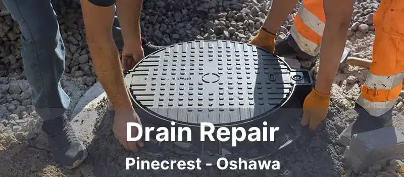  Drain Repair Pinecrest - Oshawa